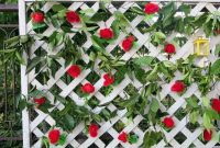 Budget Blooms: Brighten Your Fence