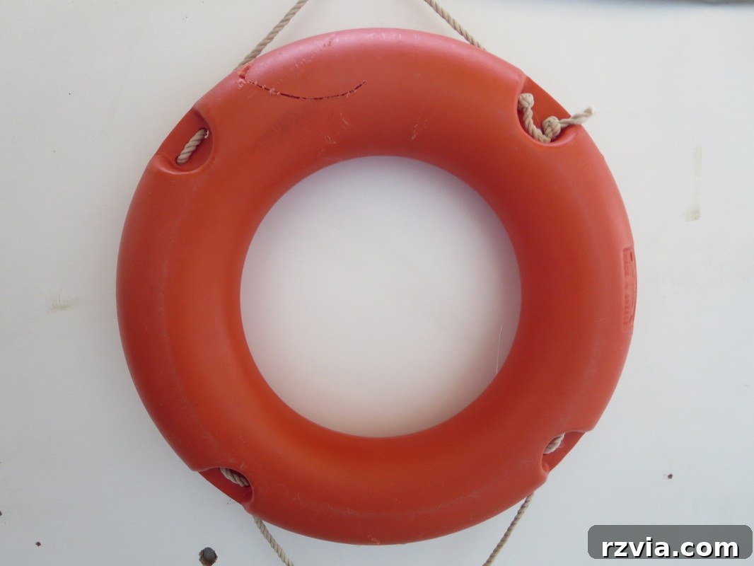 The original damaged lifesaver found on the beach, before any repairs or decoration.