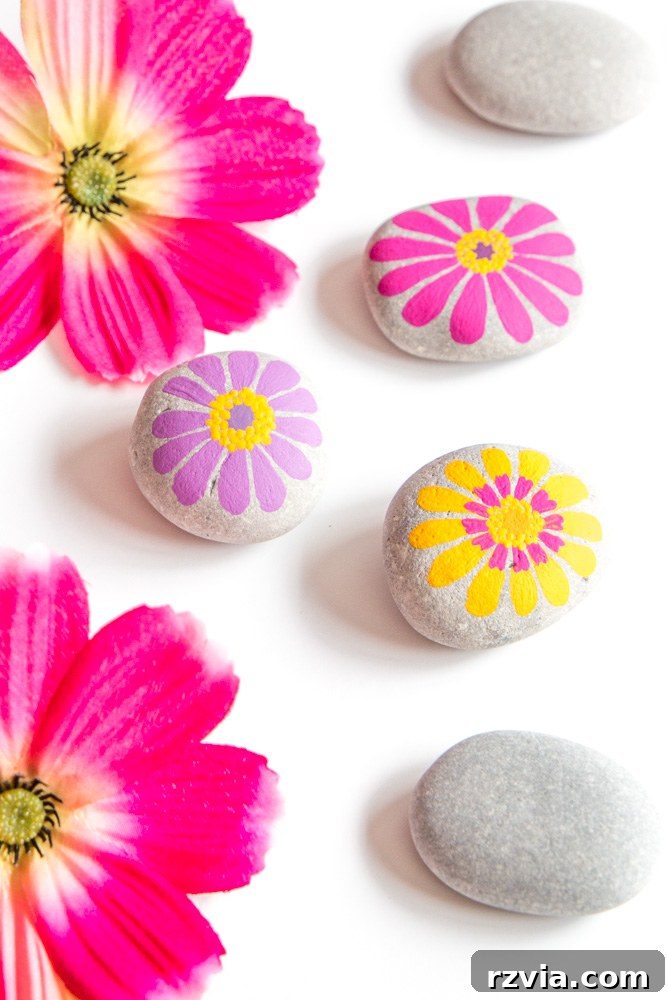 Fresh Starts, Fresh Faces 5 Painted Zinnia flower rocks, a fun and creative nature craft for all ages.