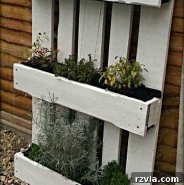 DIY vertical herb garden made from recycled pallets