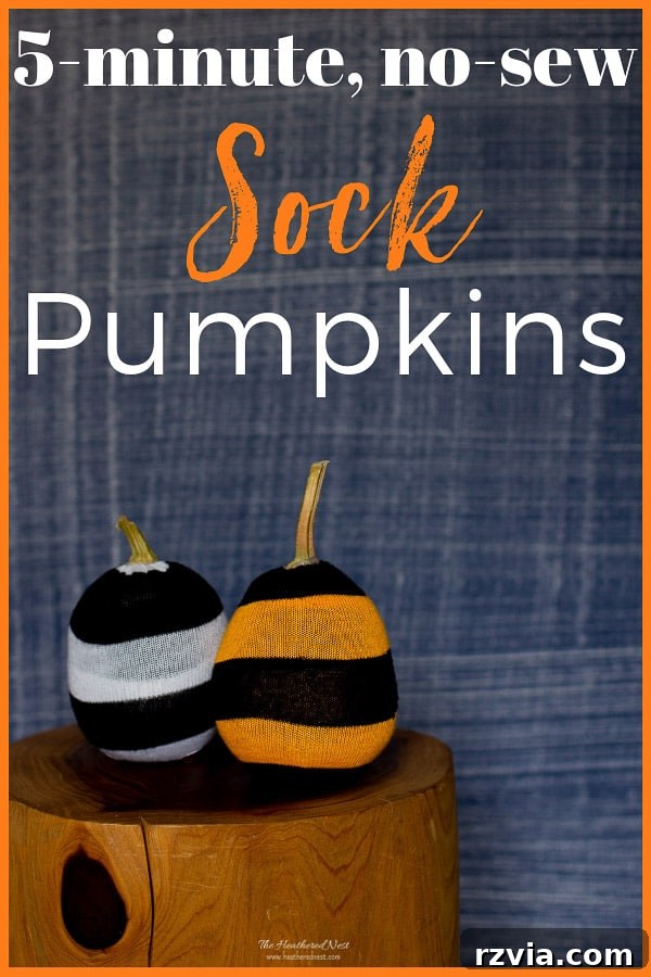 Cute Halloween pumpkins crafted from repurposed used socks by Heathered Nest, a quick and easy DIY.