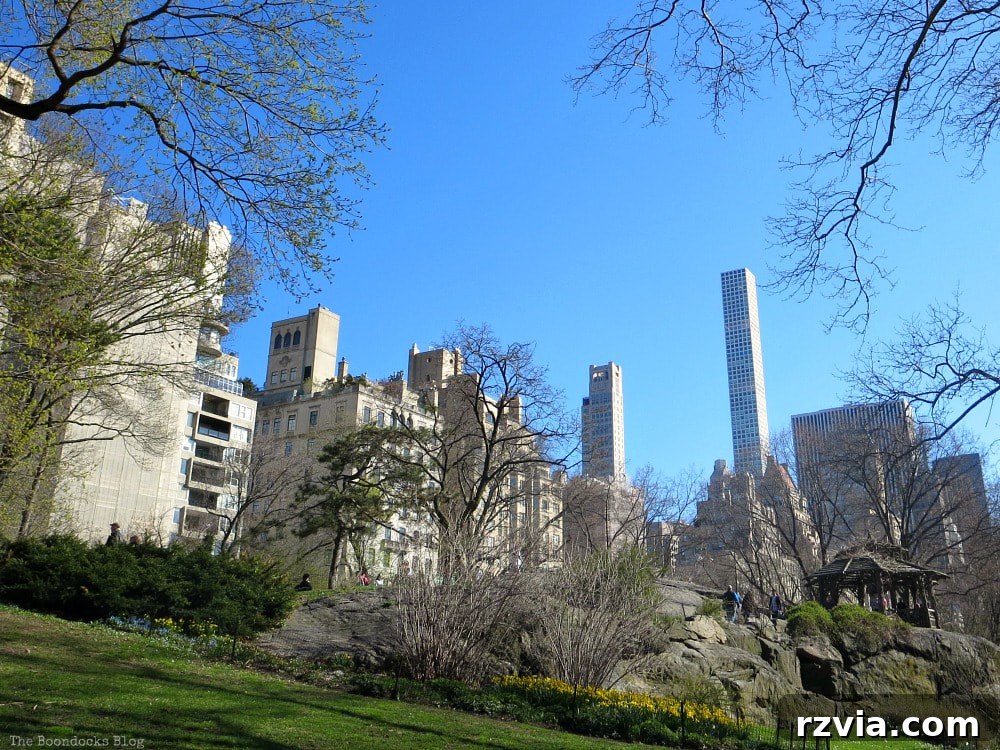 Dört Yıllık Blog Serüveni: Öğrendiğim Büyük Ders 4 Vibrant Central Park cityscape looking towards Fifth Avenue