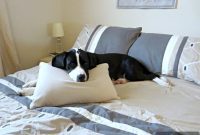 Crafting Your Serene Bedroom Sanctuary