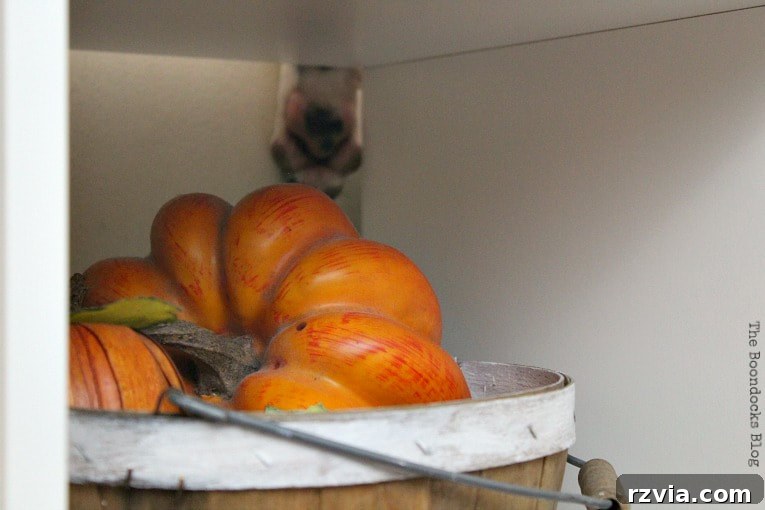 DIY Cardboard Desk Organizer 11 A close-up view of a decorative basket with a small pumpkin, and a dog's paw subtly visible in the background, adding a touch of pet-friendly charm.