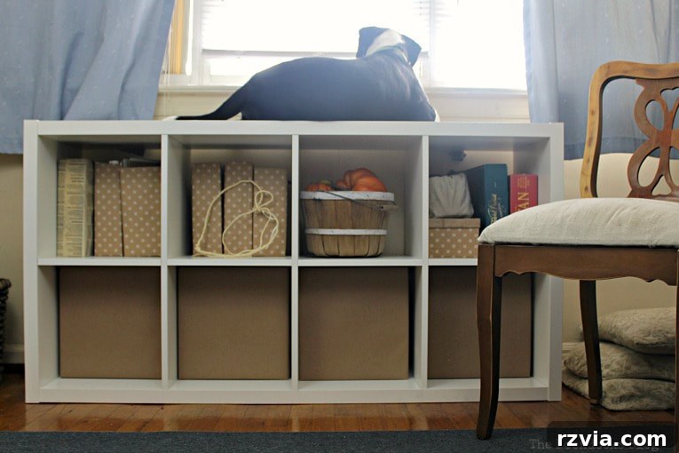 DIY Cardboard Desk Organizer 13 A Kallax storage unit filled with custom-made cardboard paper organizer storage boxes. A happy dog sits comfortably on top of the unit, enjoying his elevated view.