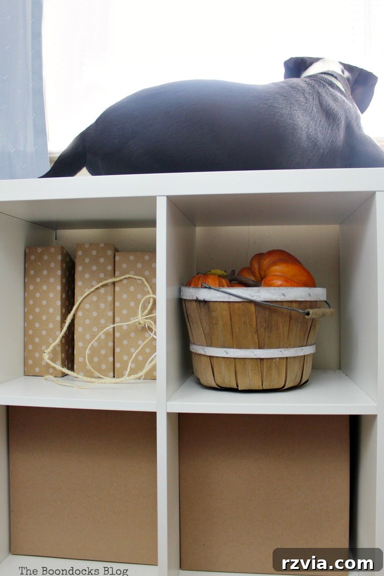 DIY Cardboard Desk Organizer 15 A Kallax storage unit, holding a basket and the DIY cardboard boxes, with the dog perched happily on top, enjoying his custom space.