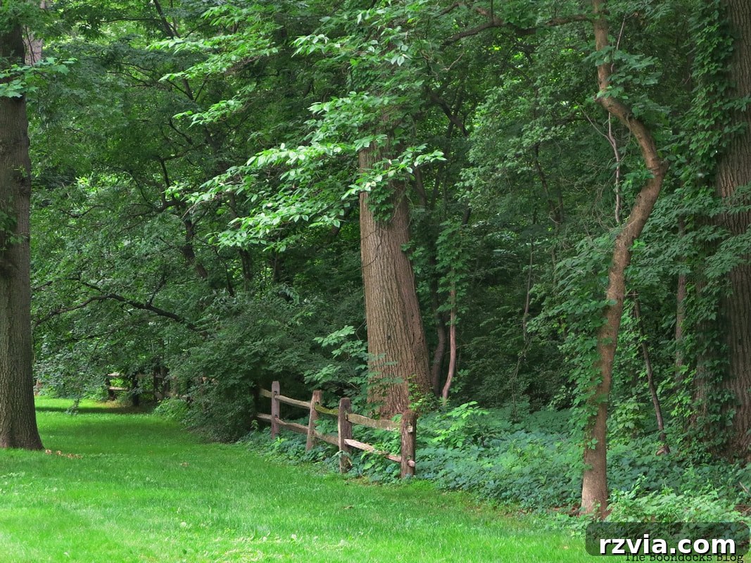 A picturesque scene within the garden featuring a rustic wooden fence