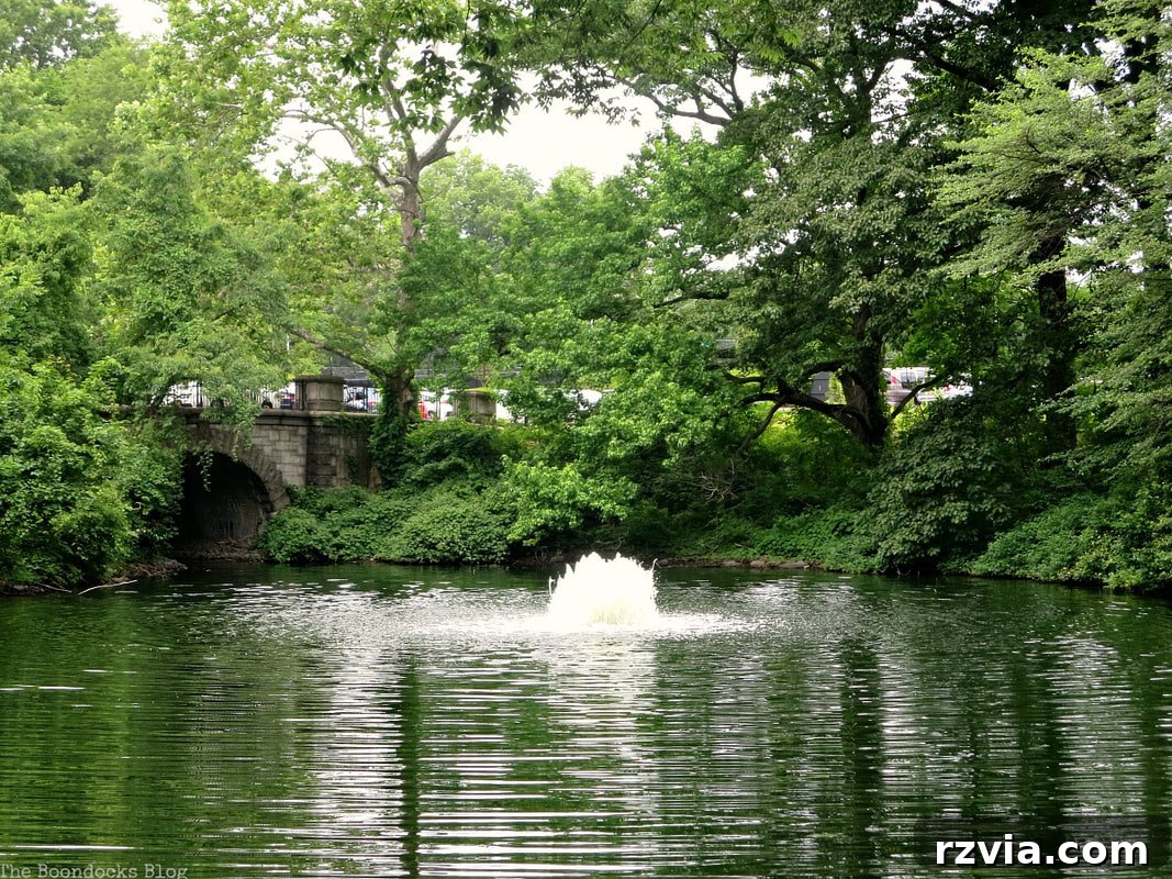 The peaceful Twin Lakes at the New York Botanical Garden