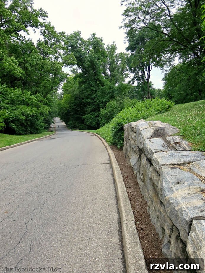 A long and winding road through the diverse gardens of NYBG