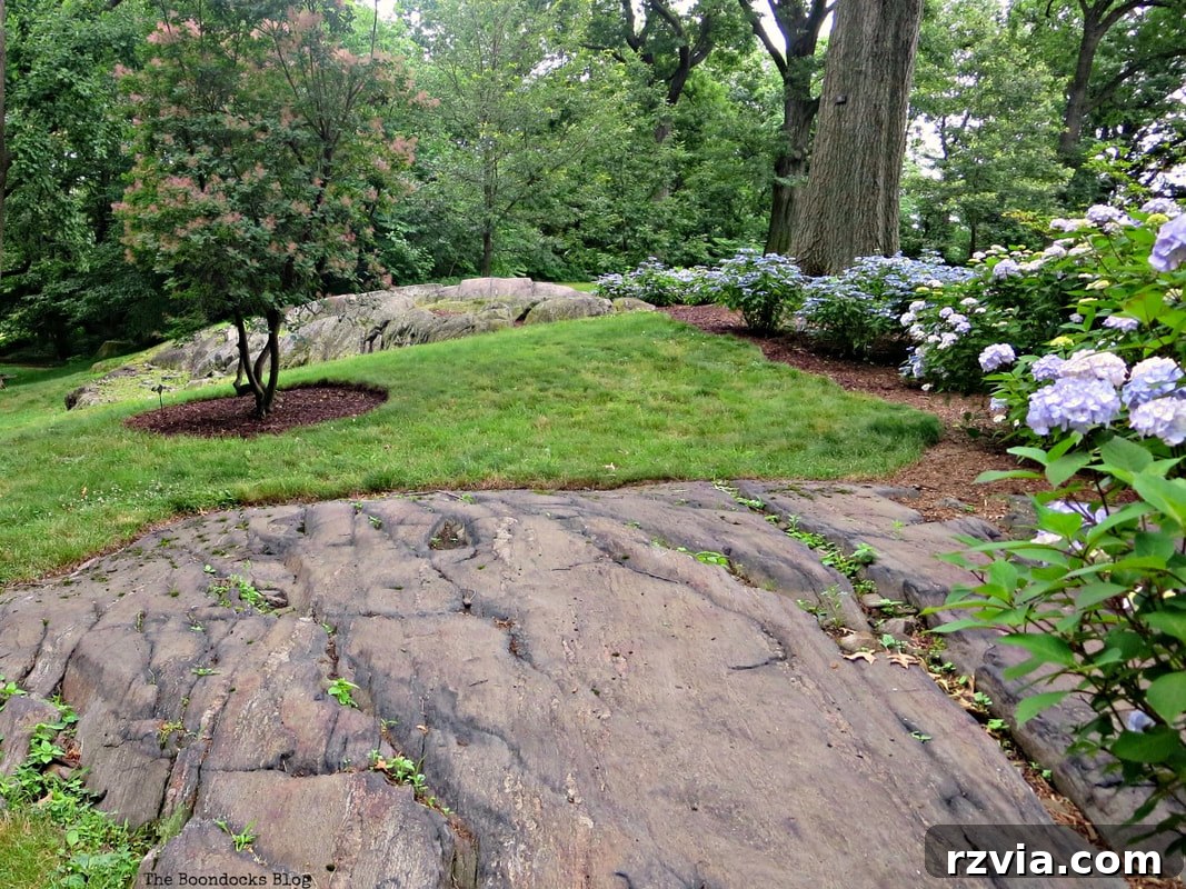 A rocky landscape within the New York Botanical Garden's diverse terrain