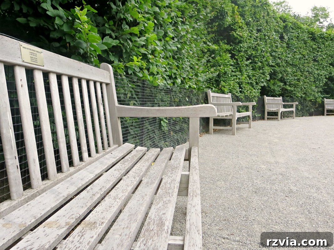 Benches nestled beside a wall of lush green vines in the Howell Family Garden