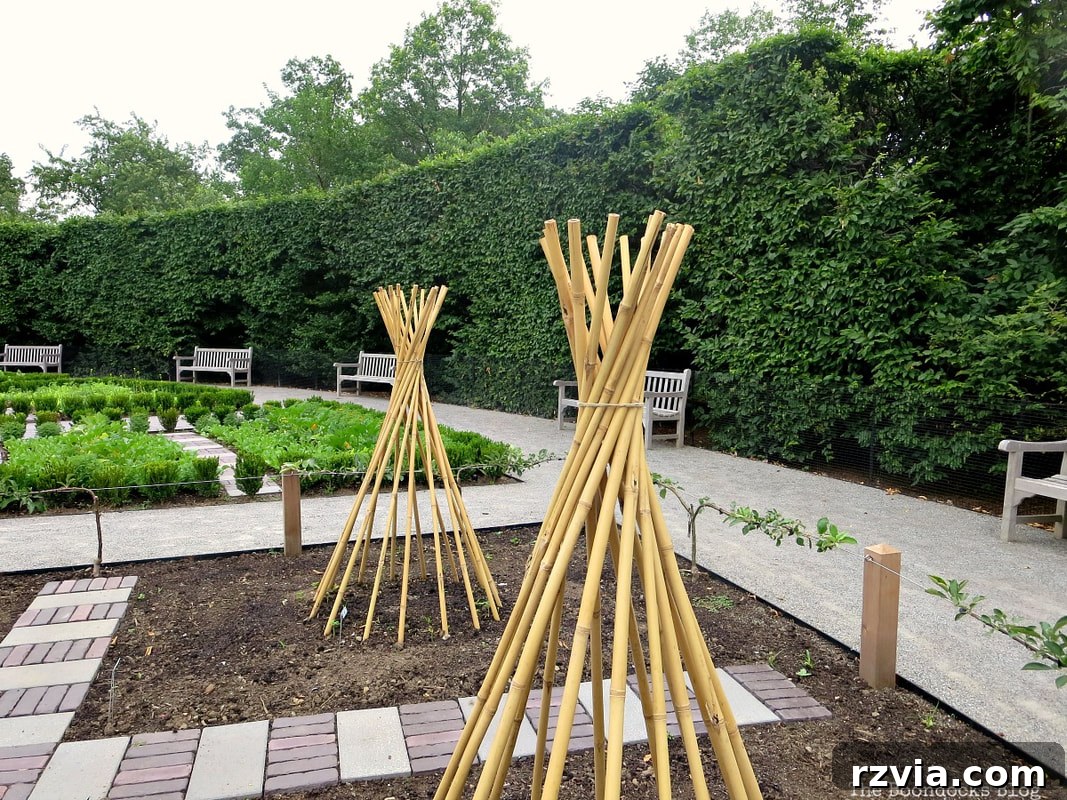 A vibrant vegetable garden, part of the educational Howell Family Garden