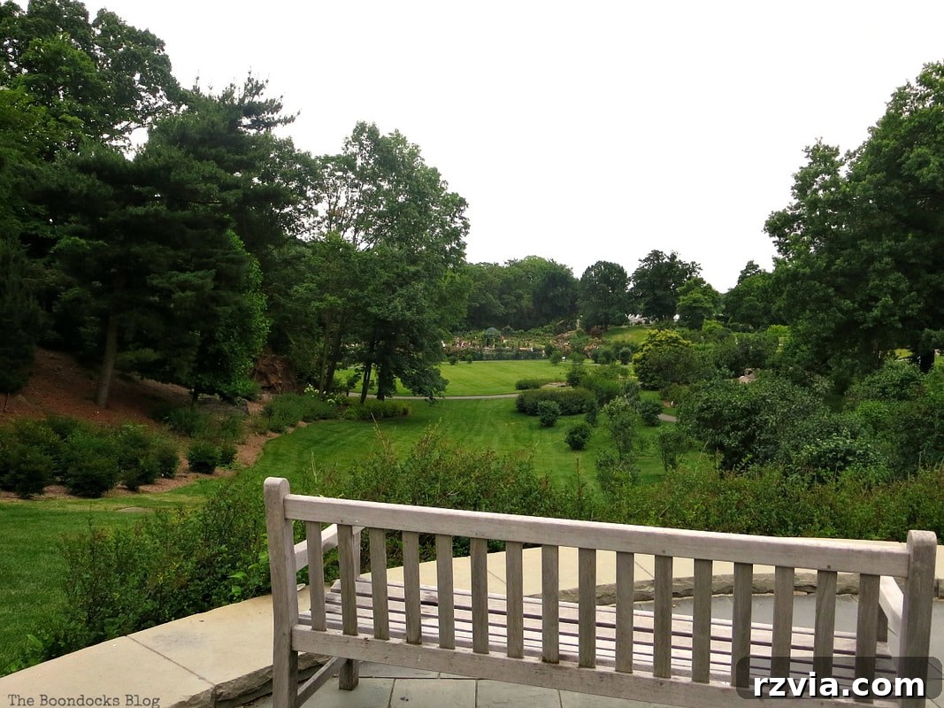 View towards the Peggy Rockefeller Rose Garden, a highlight of the NYBG