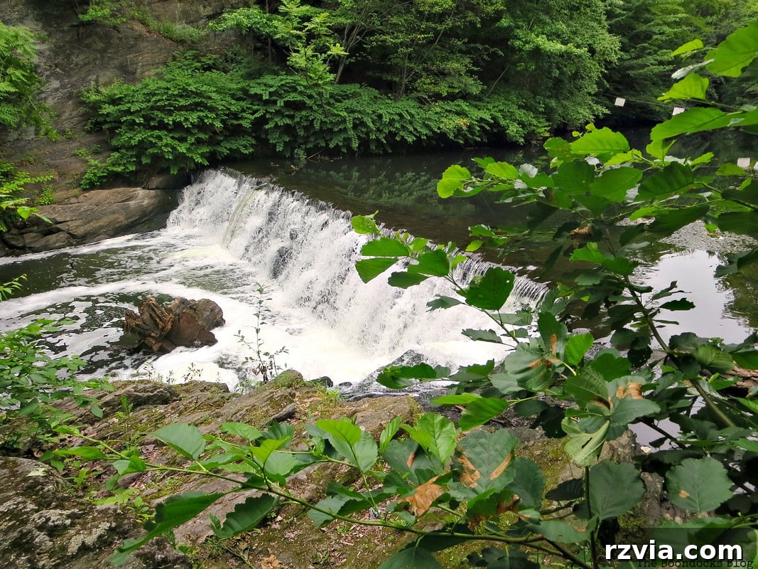 A stunning waterfall, a tranquil feature within the New York Botanical Garden