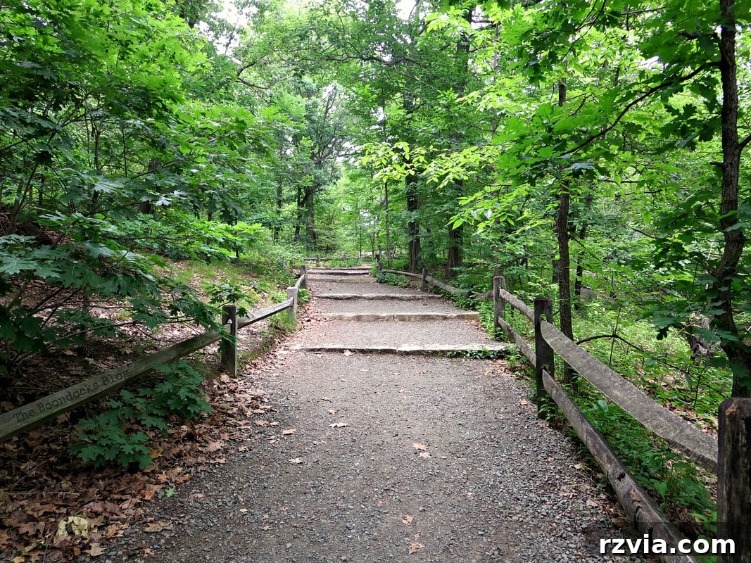 Path leading towards a charming bridge within the New York Botanical Garden