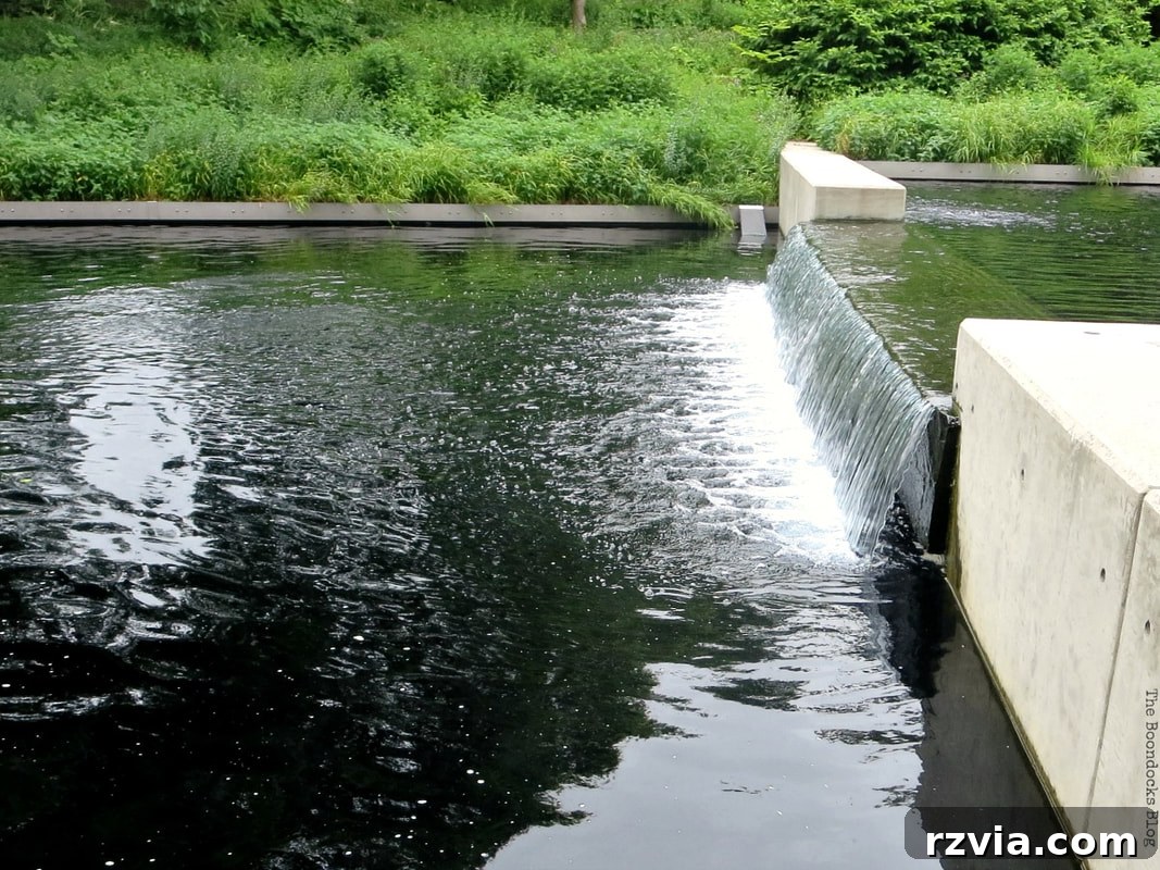 Another perspective of the beautiful waterfall in the pond at NYBG