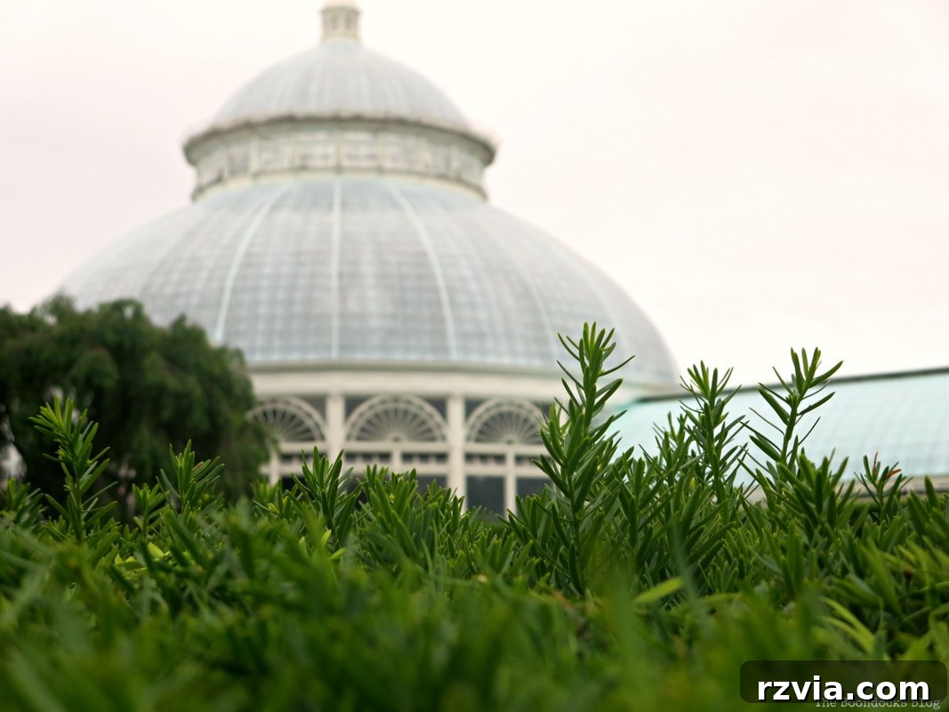 The iconic dome of the Haupt Conservatory, a jewel of the New York Botanical Garden