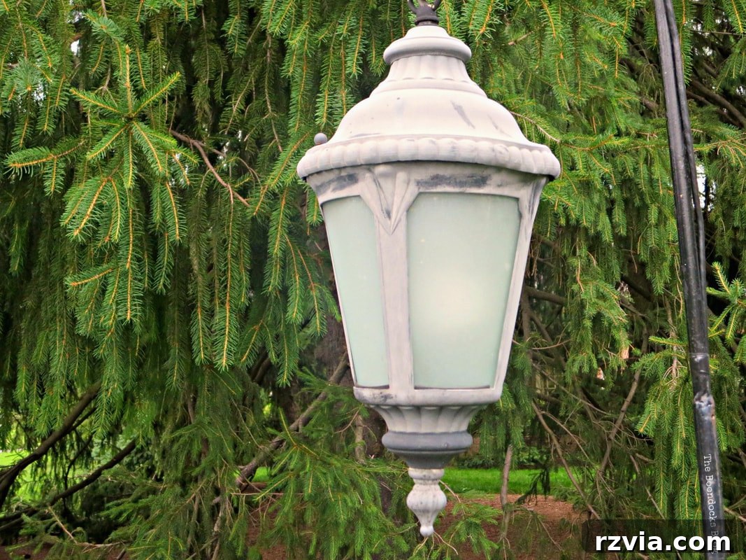 A charming street lamp illuminating a pathway in the New York Botanical Garden