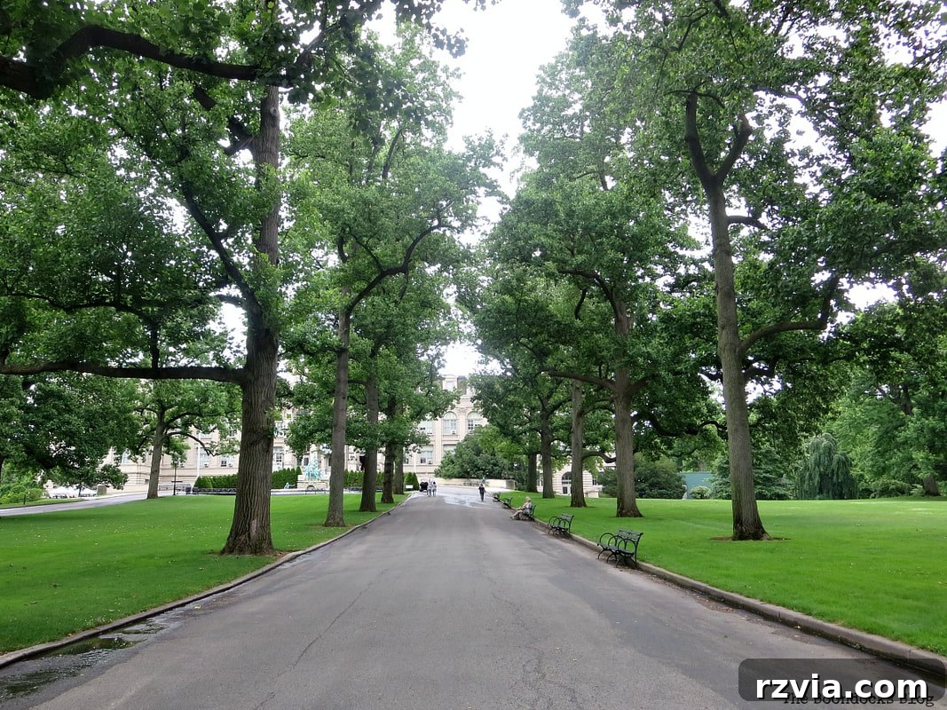 Majestic road leading up to the Mertz Library at NYBG
