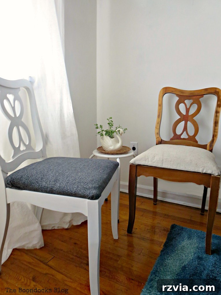 Revamp Your Wooden Chairs: Painting Made Easy 15 A creatively painted chair showcasing two distinct makeovers on different parts, demonstrating versatile DIY furniture transformation techniques.