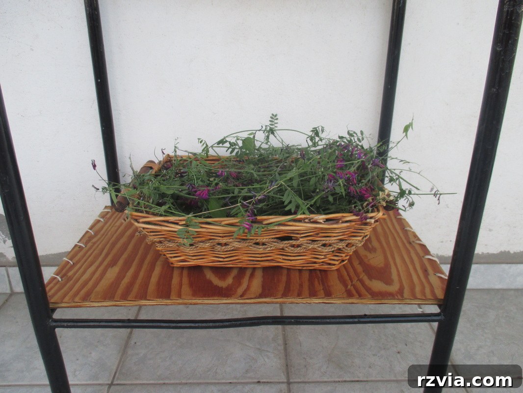 View of the rustic bottom shelf made from plywood, secured with twine on the transformed table.
