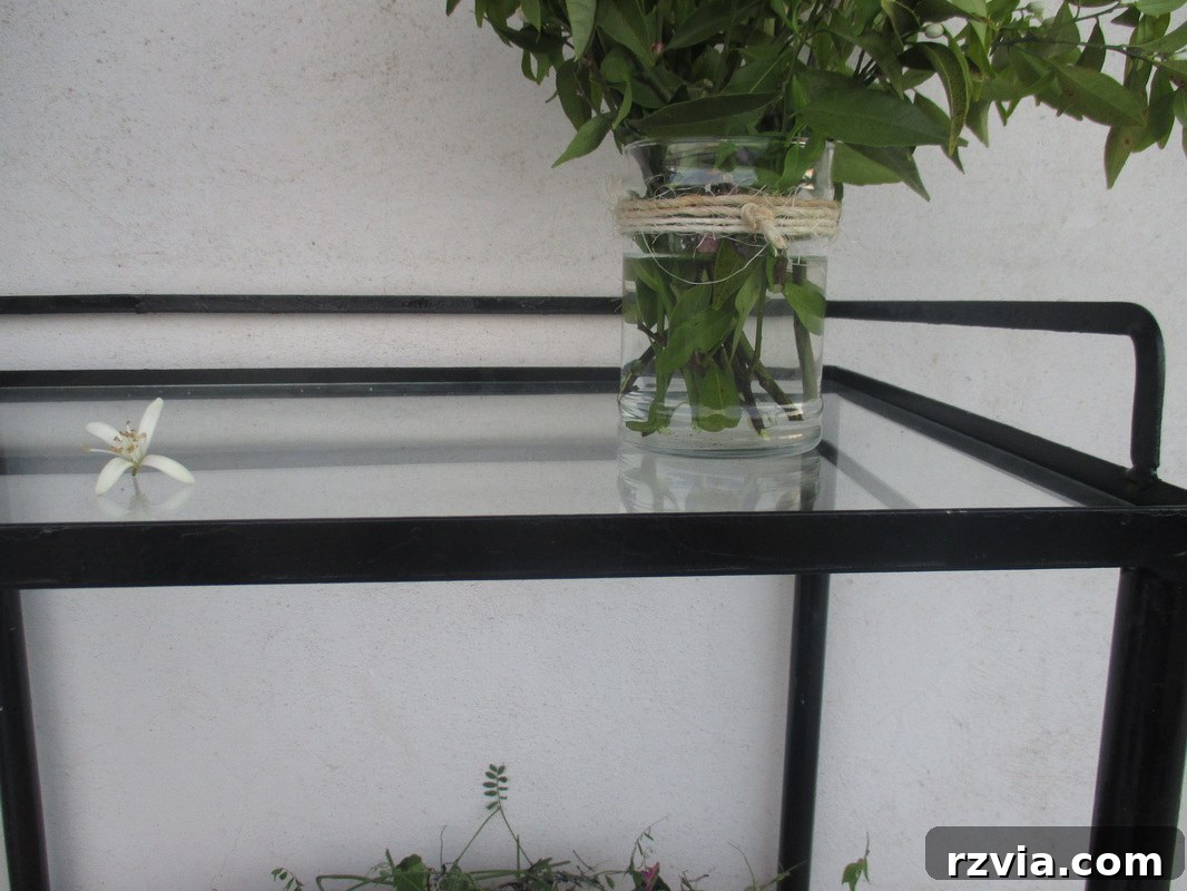 Adding a clear glass top to the restored metal table, completing its elegant transformation.