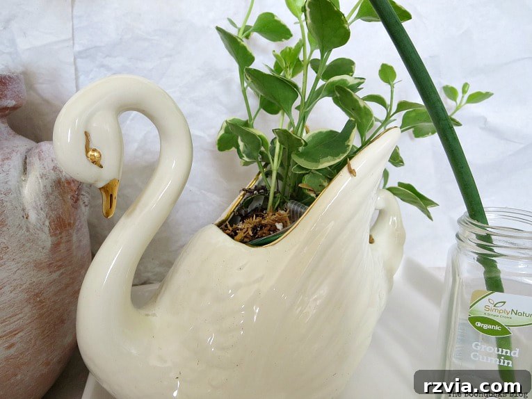 Seaside Style from Salvaged Treasures 13 An old swan-shaped planter overflowing with a vinca vine, illustrating the need for replanting.