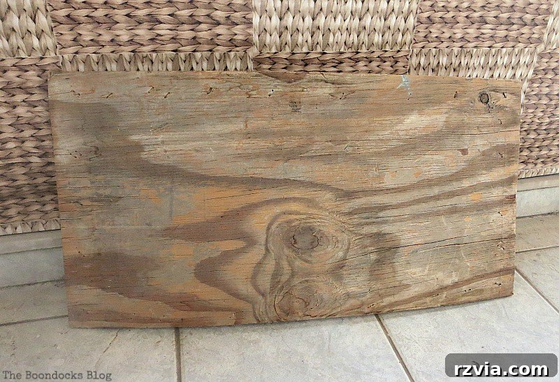 Coastal Creations from Repurposed Finds 3 A simple piece of plywood discovered in a corner, waiting to be transformed into seaside art