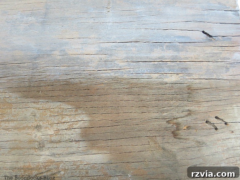 Coastal Creations from Repurposed Finds 5 Whitewashing technique applied to plywood, showing the before and after effect of diluted white paint