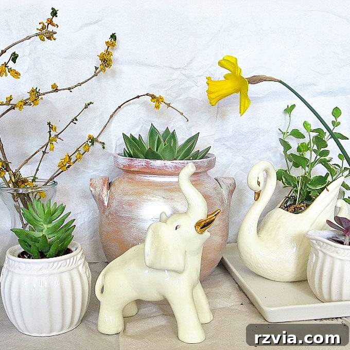 Beyond the Bin: DIY Upcycled Planters 2 A collection of repurposed household items ready to become planters, showcasing creativity and sustainable living.