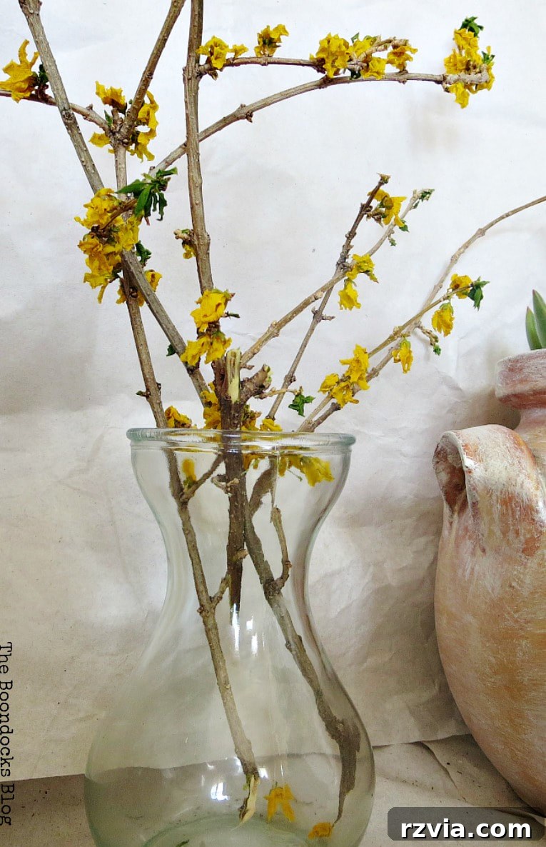Beyond the Bin: DIY Upcycled Planters 12 Elegant dried flower branches arranged in a simple glass vase, providing a maintenance-free pop of color to the plant vignette.