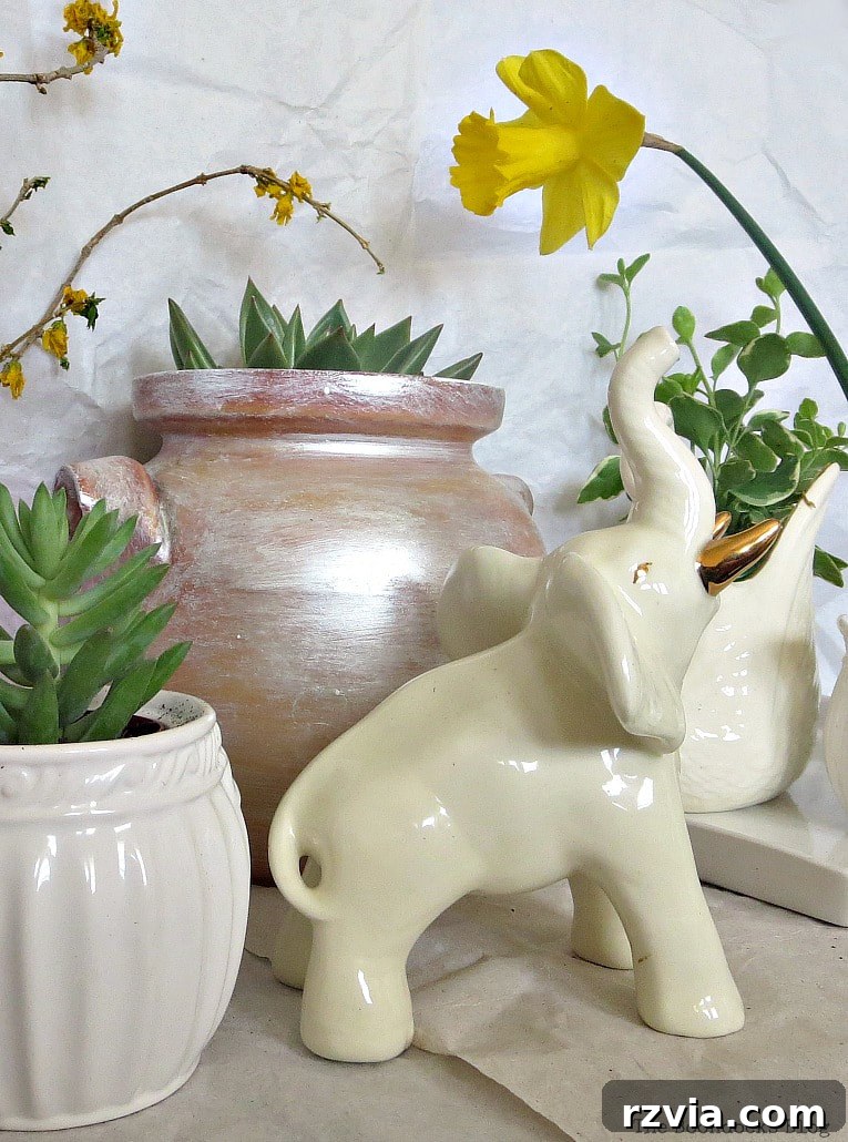 Beyond the Bin: DIY Upcycled Planters 15 An overhead view of the assembled plant vignette, showcasing a diverse collection of repurposed household items used as planters and decorative elements.