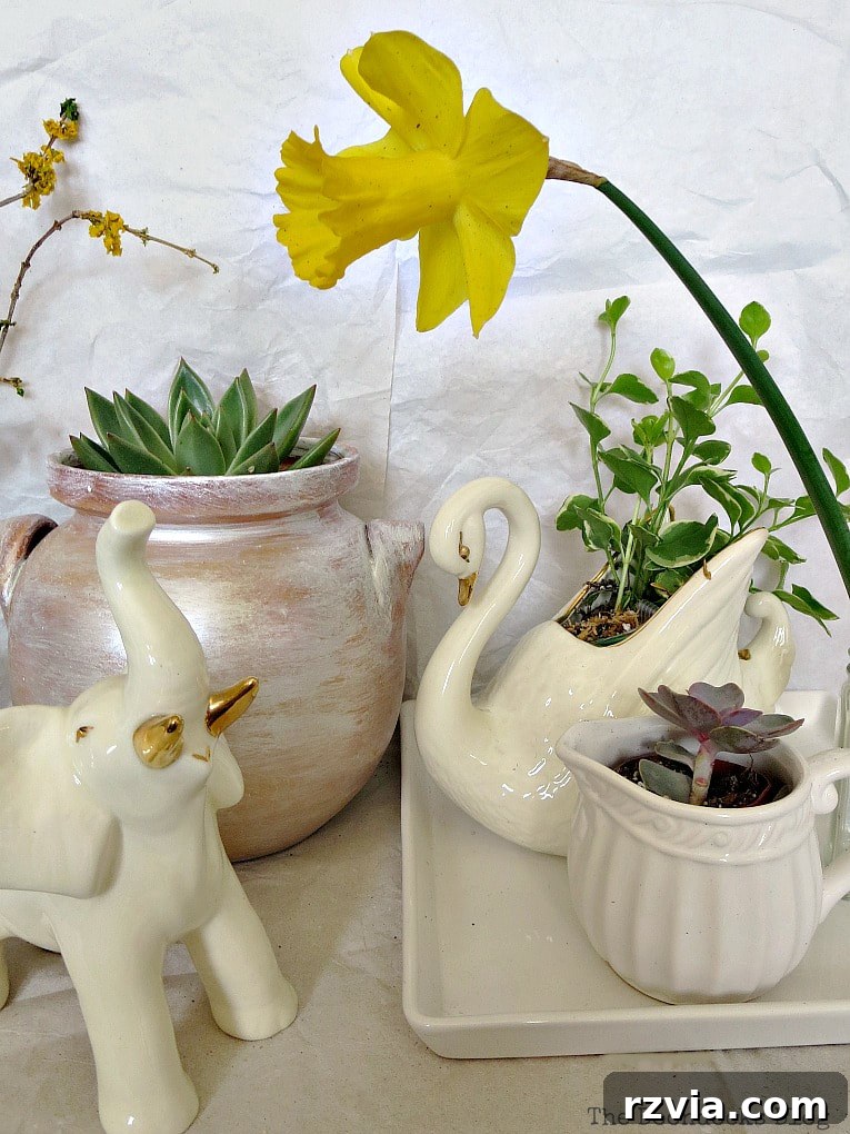 Beyond the Bin: DIY Upcycled Planters 16 A close-up shot of the repurposed planters vignette, emphasizing the individual charm of each household item given new life as a plant container.