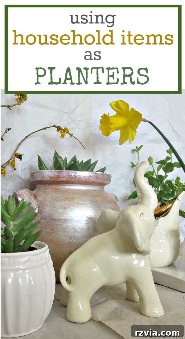 Beyond the Bin: DIY Upcycled Planters 18 A stunning final arrangement of repurposed household items acting as unique planters, featuring lush green plants and adding character to home decor.