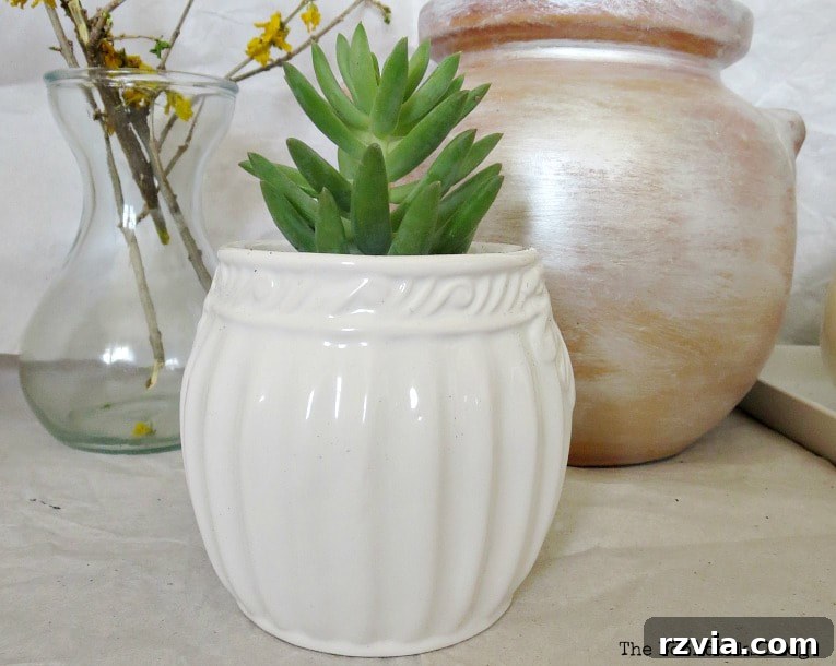 Beyond the Bin: DIY Upcycled Planters 10 A vibrant succulent artfully planted in a charming sugar bowl, demonstrating creative use of everyday ceramicware.