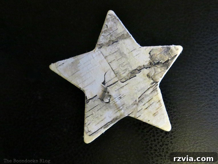 A wooden star with birch paper decoupaged onto one side, showing the slight wooden border around the edges.