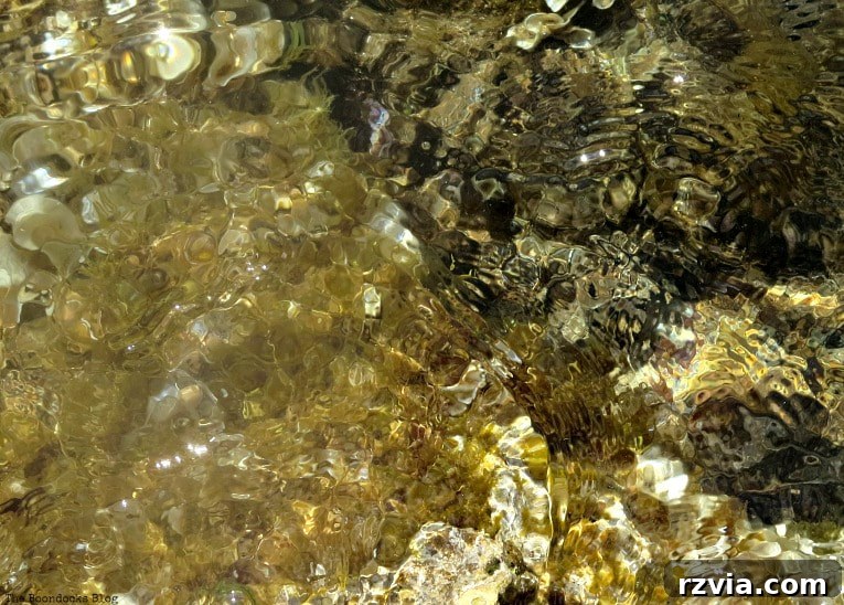 Kefalonia's Rugged Beauty: Where Brown Rocks Meet the Sea 11 Shimmering coin-like patterns formed by clear water on brown sand, Kefalonia
