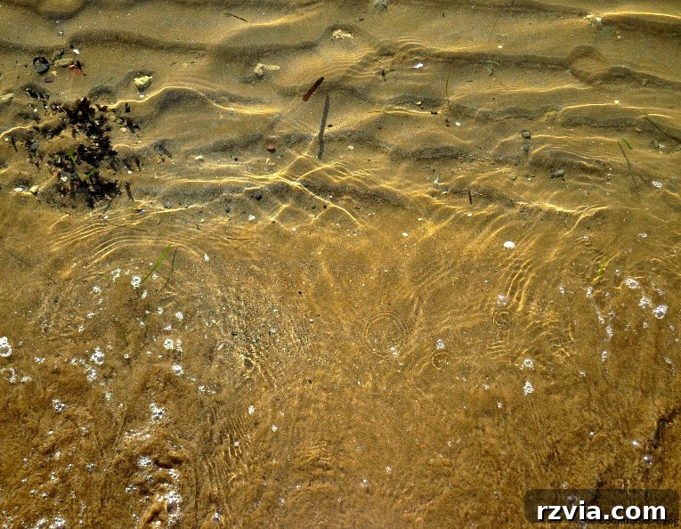 Kefalonia's Rugged Beauty: Where Brown Rocks Meet the Sea 5 Earthy brown sand with natural seaweed on Kefalonia beach, Greece