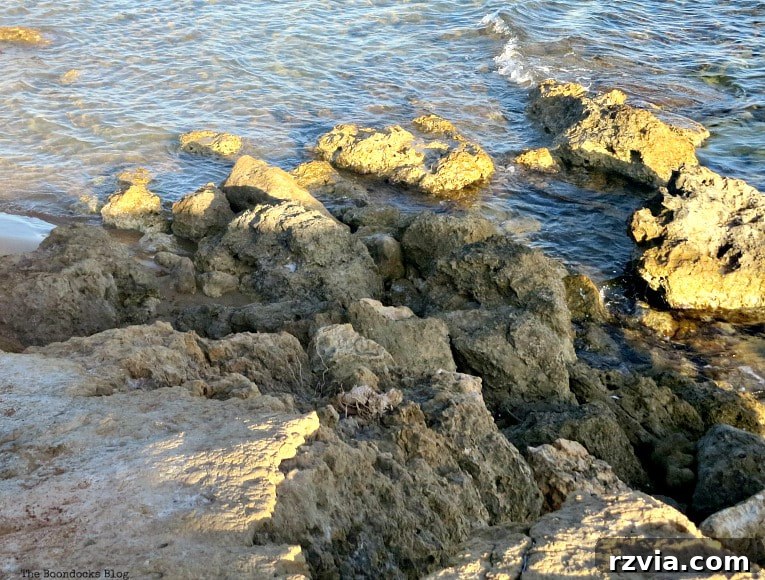 Kefalonia's Rugged Beauty: Where Brown Rocks Meet the Sea 6 Sunlight and shadows playing on rocky shorelines, Kefalonia, Greece