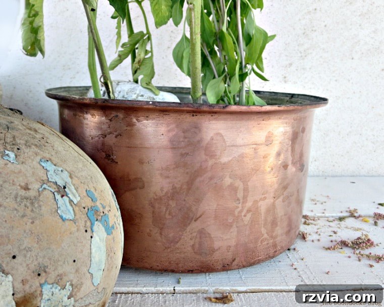 Copper Pot Upcycling Nightmares 13 Copper pot repurposed as a planter for tomato plants, a practical but uninspired choice