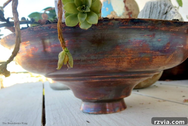 Copper Pot Upcycling Nightmares 14 Copper lid holding dying succulents, a testament to gardening neglect