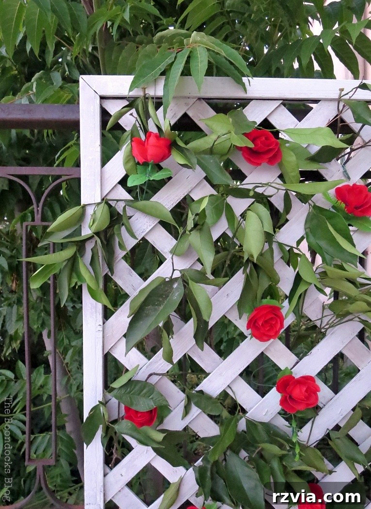 Budget Blooms: Brighten Your Fence 2 Corner view of a beautiful lattice flower wall adorned with red roses and lush greenery, enhancing an outdoor space.