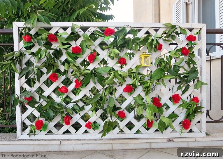 Budget Blooms: Brighten Your Fence 13 The stunning finished lattice flower wall, adorned with vibrant red roses, lush greenery, and a charming yellow lantern.