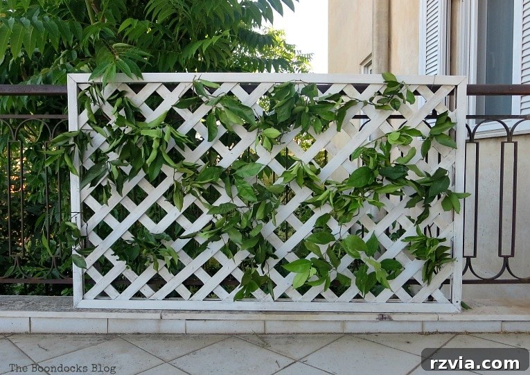 Budget Blooms: Brighten Your Fence 9 Adding lush greenery by inserting lemon tree branches into the lattice flower wall, creating a natural backdrop.