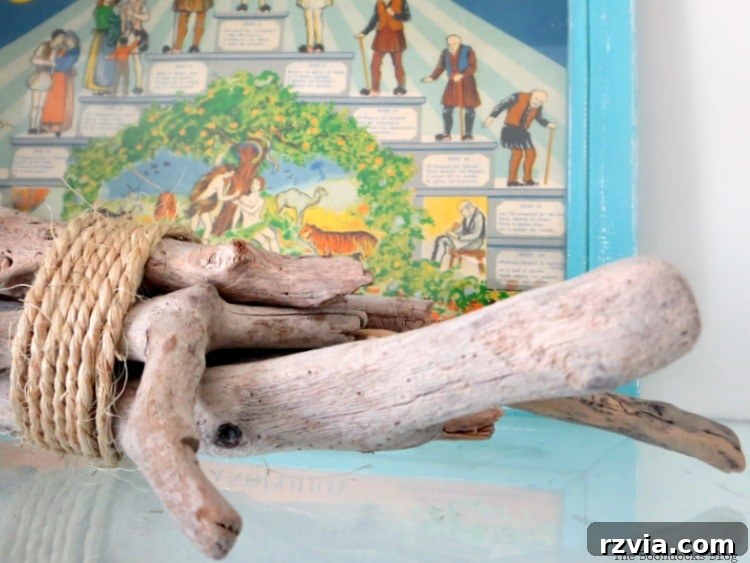 Upcycled Bookcases: Crafting Success, Avoiding Pitfalls 19 Arrangement of natural driftwood alongside a framed print depicting Greek lore, adding character to the display.