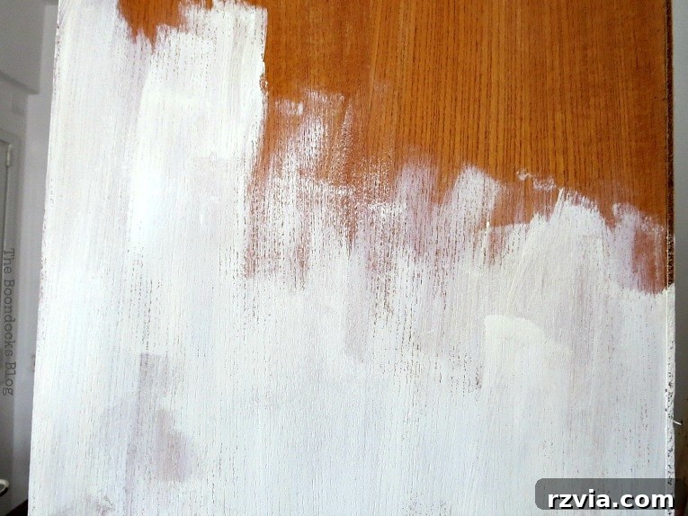 Upcycled Bookcases: Crafting Success, Avoiding Pitfalls 6 The first coat of Snow White paint applied to the exterior of the upcycled bookcase, showing a smooth finish.