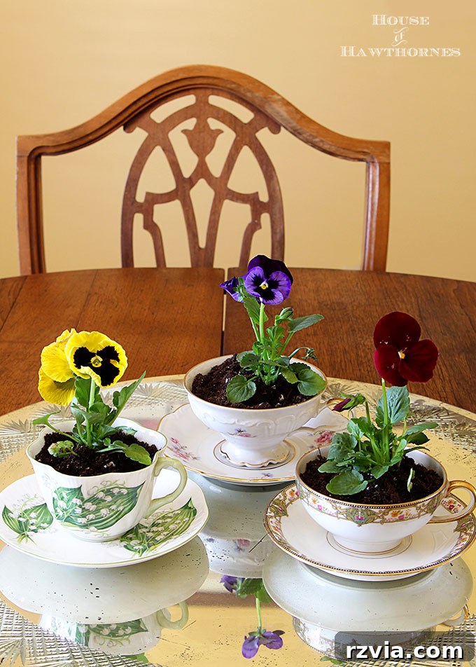 Creative DIY Presents Mom Will Adore 7 Charming flowers planted in vintage teacups and saucers, a unique and adorable DIY floral gift for Mom.