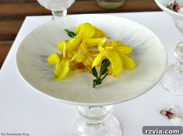 Sweet Spring Stages Repurposed Cordial Glasses 13 Yellow flowers on painted saucer.