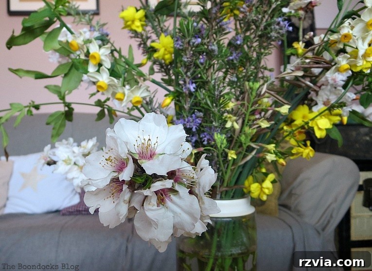 Sweet Spring Stages Repurposed Cordial Glasses 3 Almond branch and spring flowers.