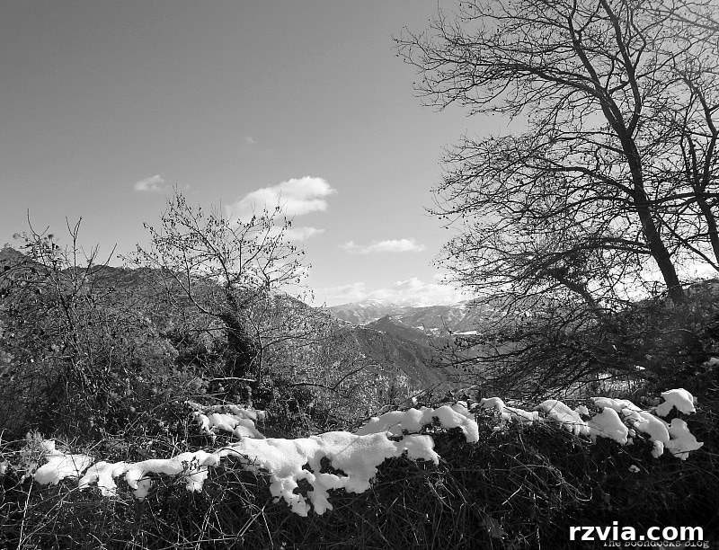 The White Crowns of Greece 8 A picturesque view looking over snow-covered hedges in a Greek mountain village, emphasizing the abundant snowfall and tranquility.